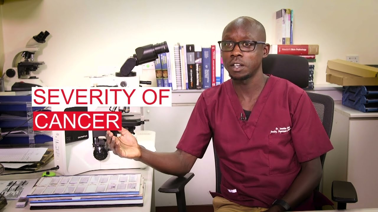 The Role of an Anatomical Pathologist in Cancer Diagnosis
