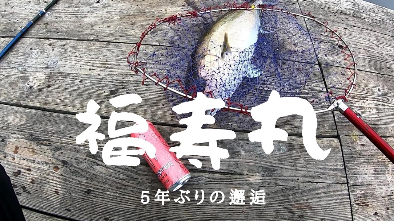 福寿丸を楽しもう！動画初登場の三重県海上釣堀