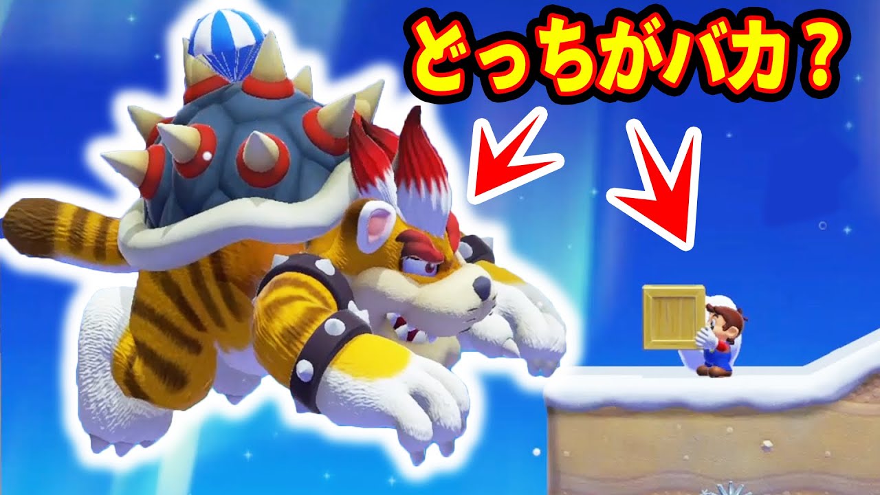 この動画をみると猫クッパとマリオ(ちゃあ)、どちらがおバカさんだか分かりますｗｗｗマリオメーカー2