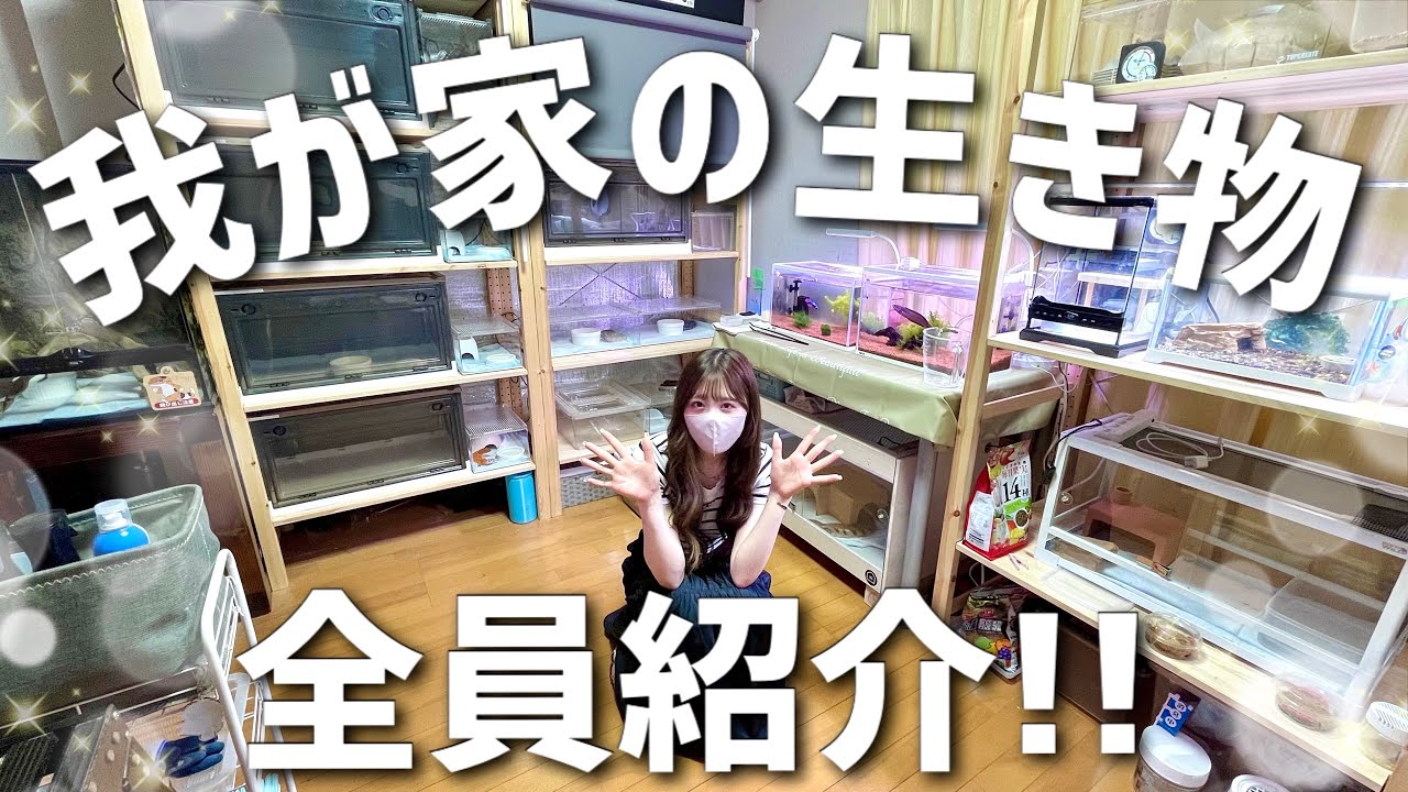 【ペット紹介】1年間でたくさん家族が増えました！✨️