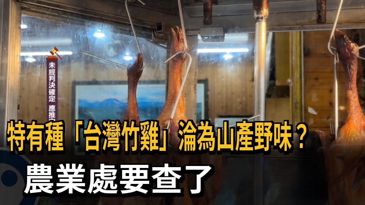 特有種「台灣竹雞」淪為山產野味？　農業處要查了－民視新聞