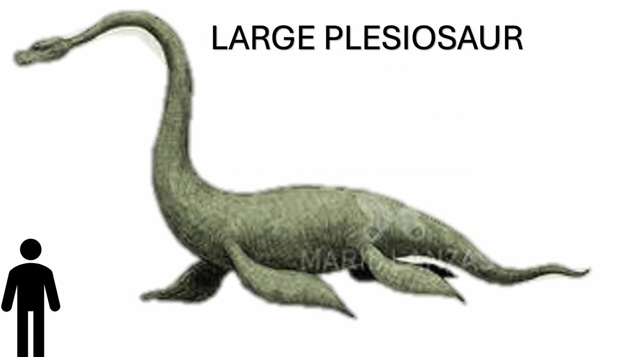 Antediluvian Size Comparison