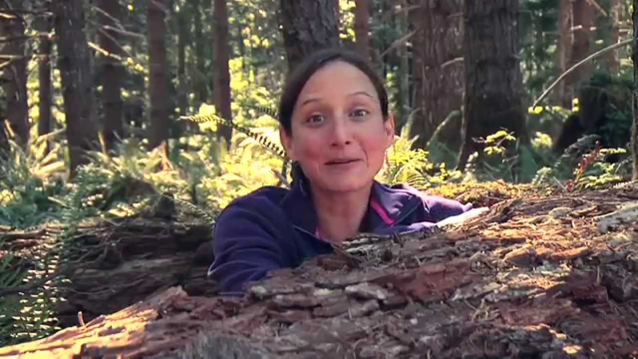 A Day in the Woods: Wildlife Habitat Protection