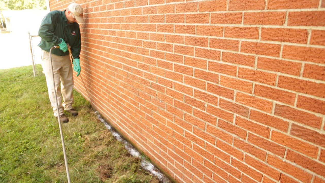 Protecting Your Greatest Investment: Termite Solutions for Today's Homeowners
