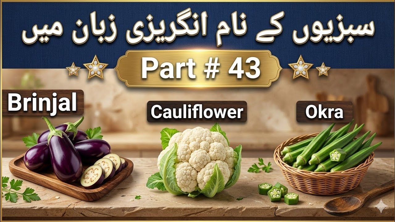 Words meaning | English vocabulary | English Urdu vocabulary 