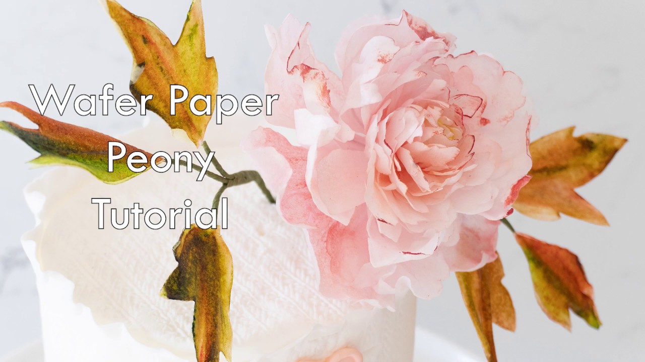 Wafer Paper Peony Tutorial