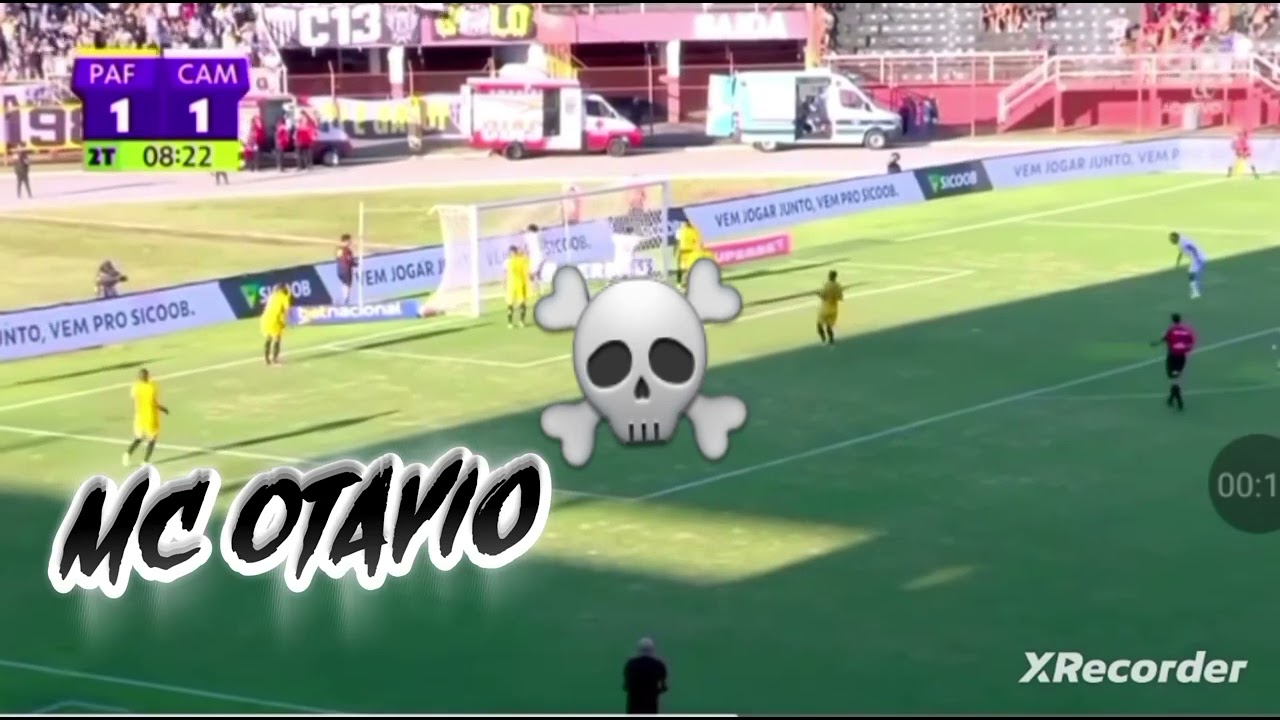 Vamo galo