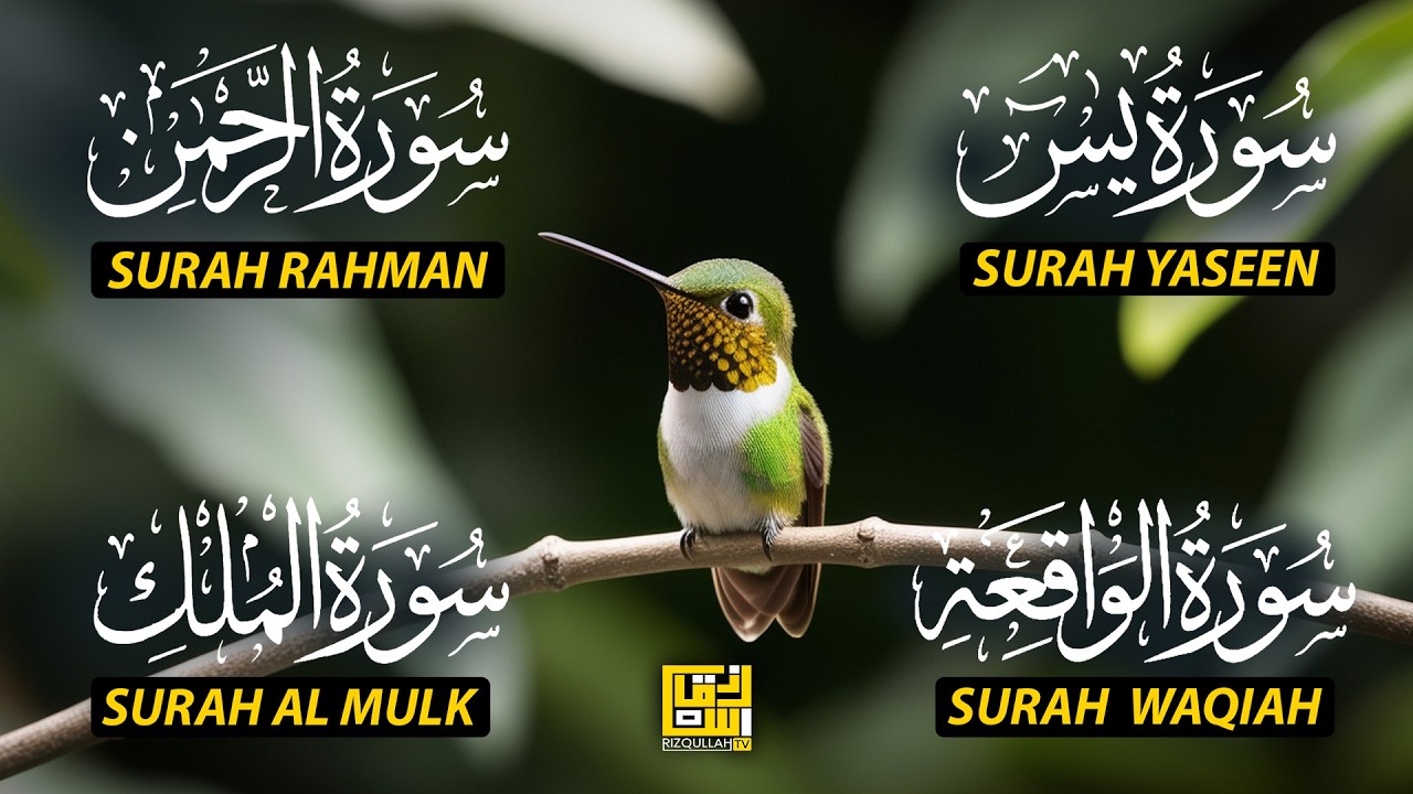 Magical Recitation Surah Yaseen (Yasin) | Surah Rahman | Surah Waqiah | Surah Mulk EP226