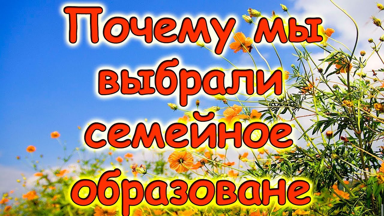 Семья Бровченко. Почему мы выбрали 