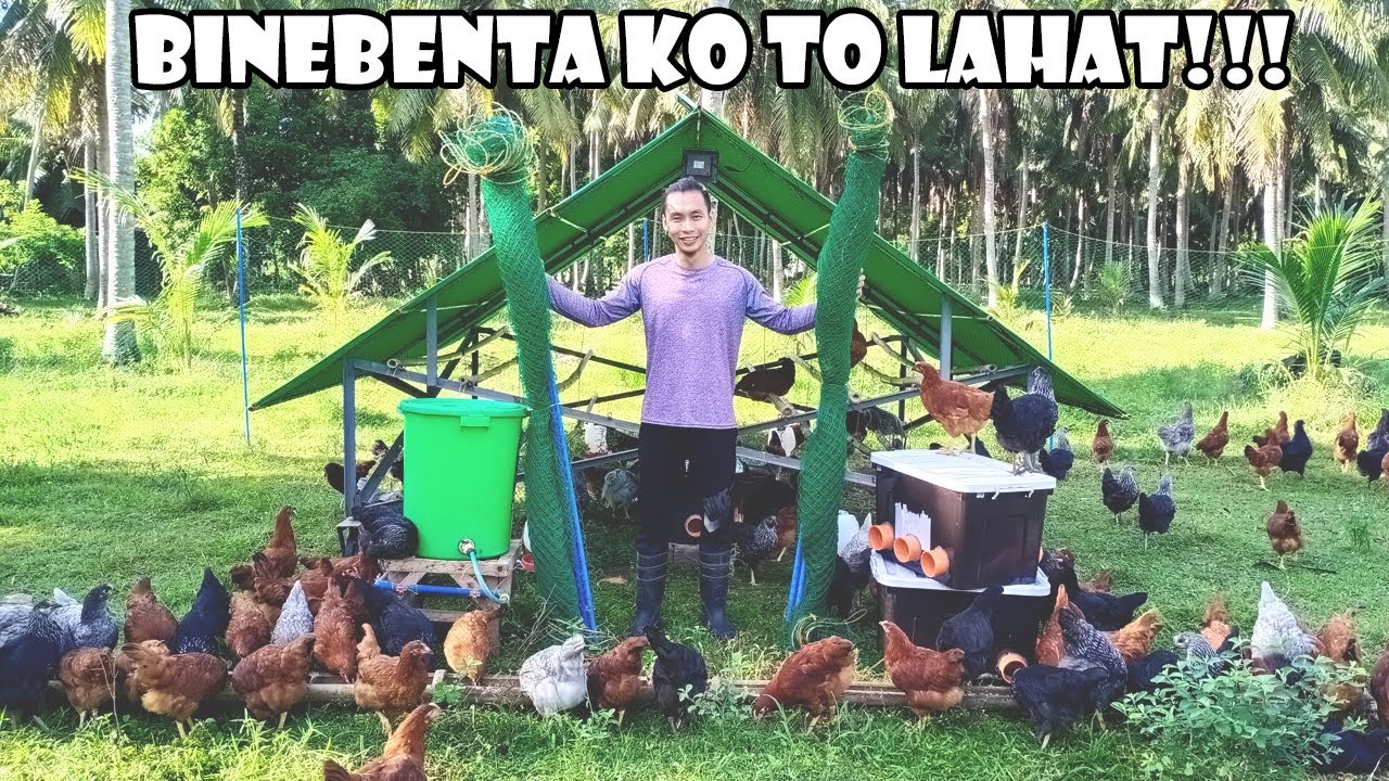 Hindi lang Rhode Island Red ang Ibinebenta Ko sa Farm!