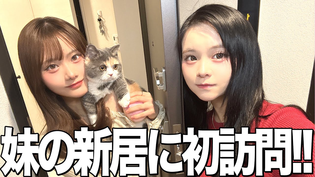 しーちゃんの新居に突撃ルームツアー！