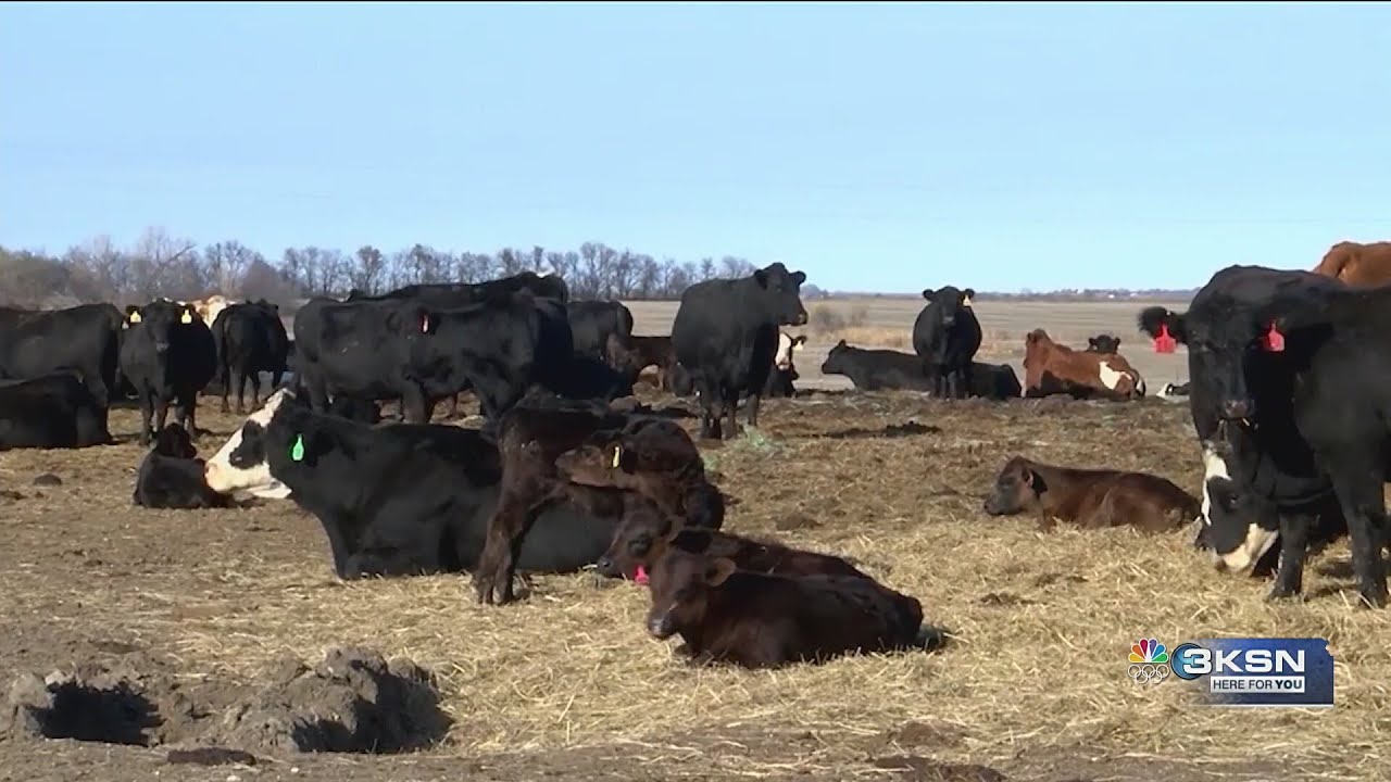 Farm bill expiration threatens Kansas farmers and households