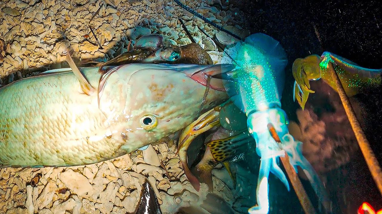 PANEN CUMI YANG SANGAT BANYAK (NIGHT SPEARFISHING EPISODE 04)