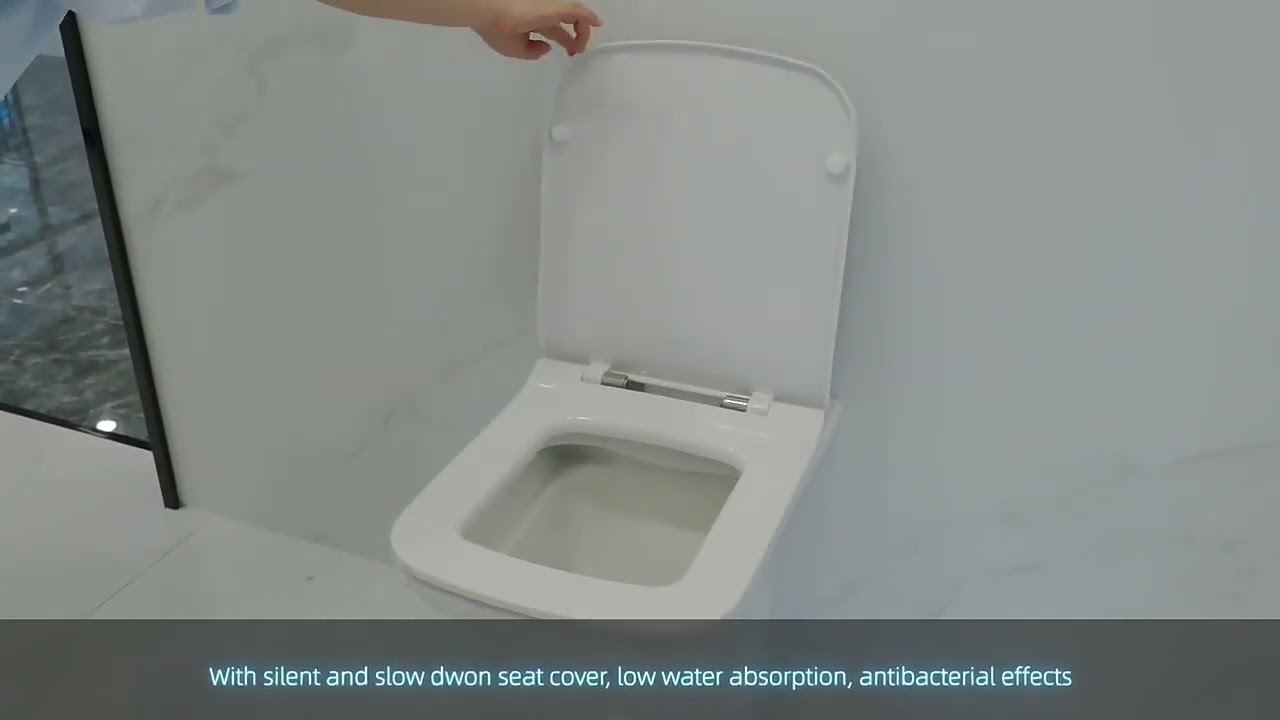 Rimless Floor Standing Back to Wall Toilet Pan with Hidden Tank P Trap Ceramic WC #toilet #wc