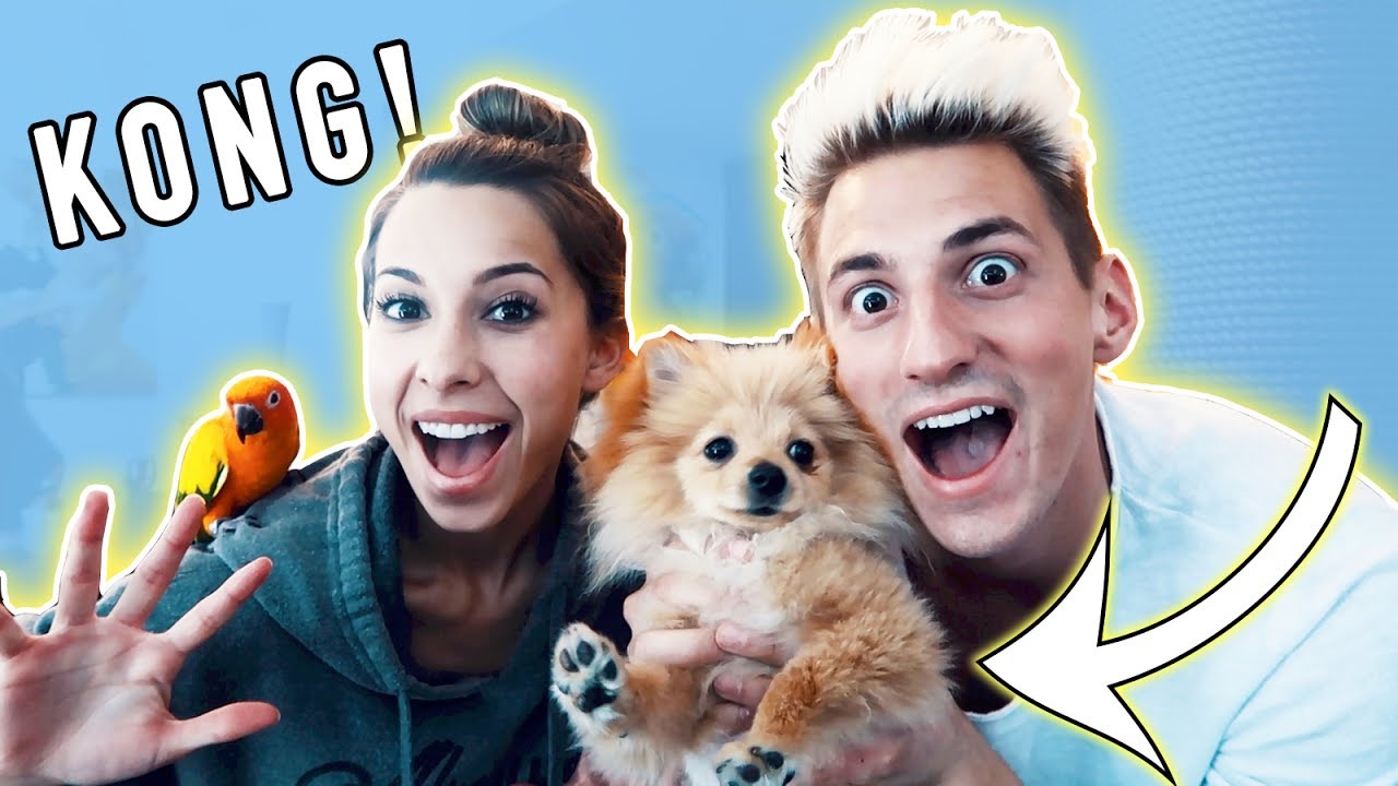 STOLE LOGAN PAULS DOG TO GET BACK AT HIM!