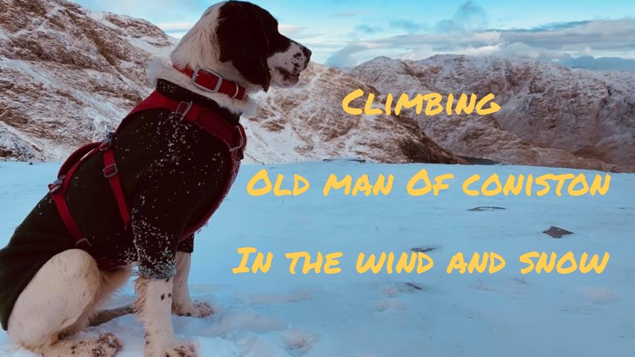 Climbing Old Man of Coniston in the wind and snow