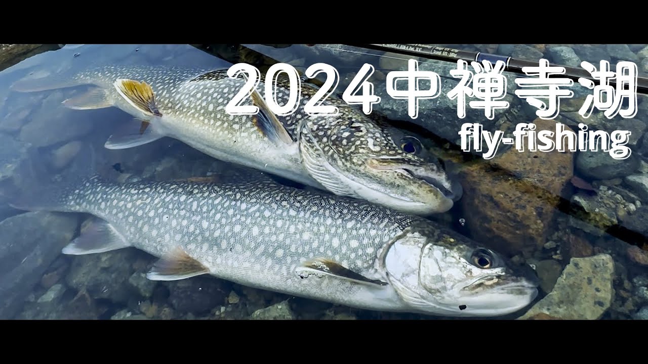 2024中禅寺湖釣行