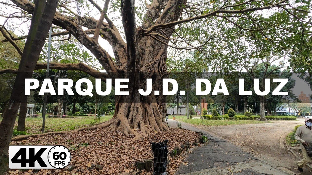 [4K60fps] Walking Parque Jardim da Luz Sao Paulo Brazil -MT4K-
