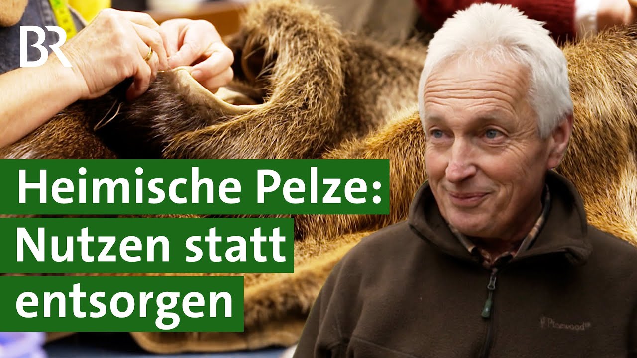 Pelz von Marder, Fuchs und Wiesel: Wie J&auml;ger die Felle verwerten k&ouml;nnen | Unser Land | BR