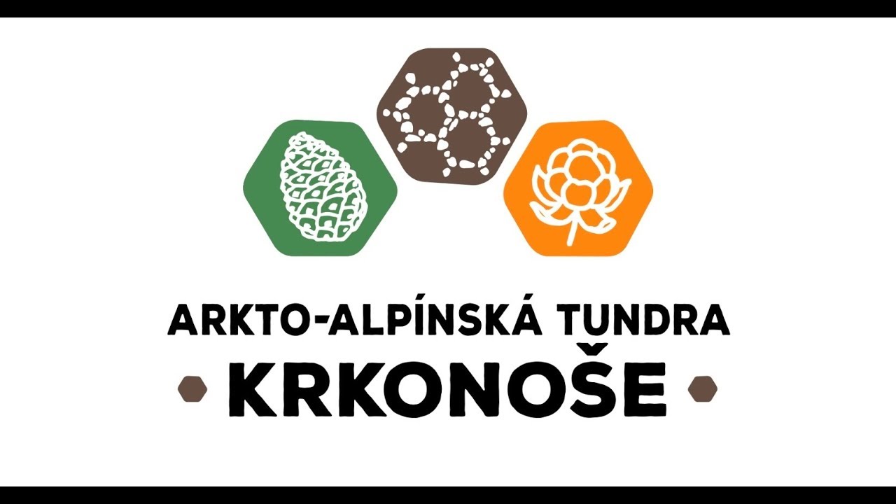 Krkonoše – arkto-alpínská tundra