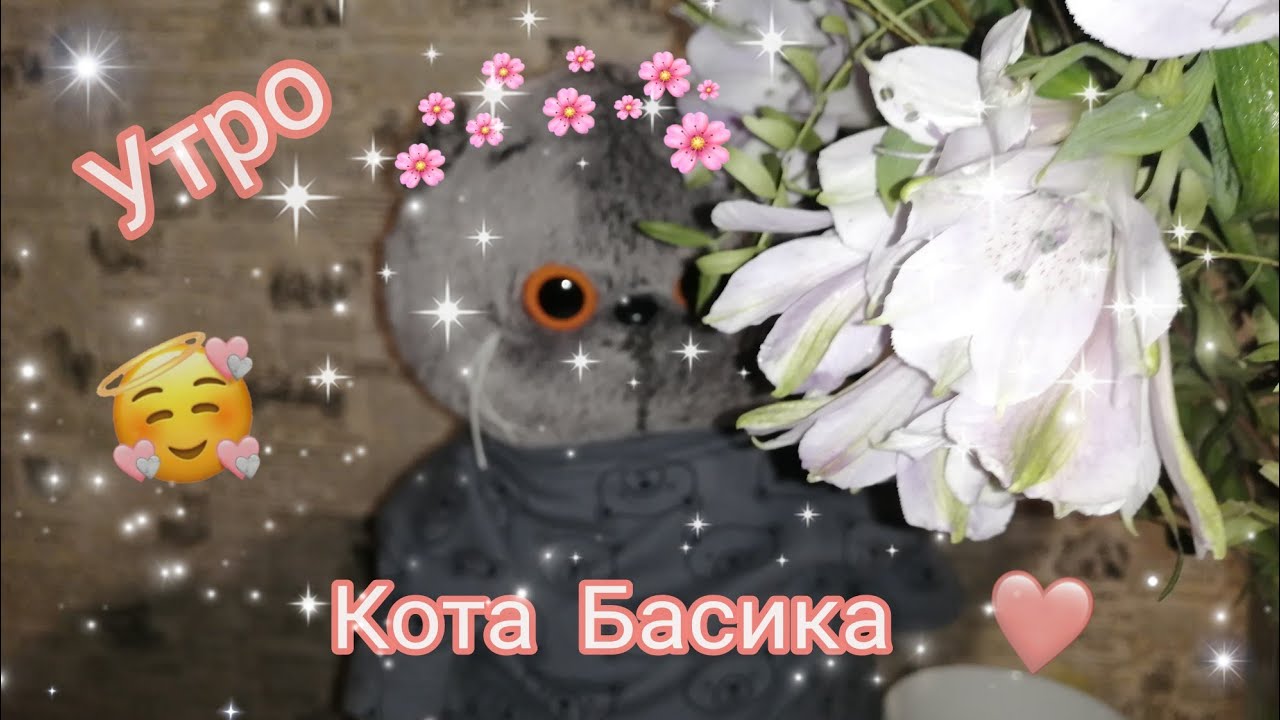 УТРО КОТА БАСИКА