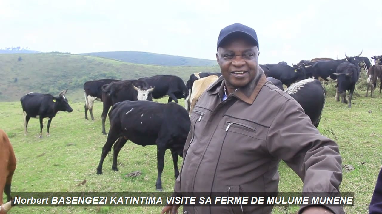 Norbert BASENGEZI KATINTIMA VISITE SA FERME DE MULUME MUNENE
