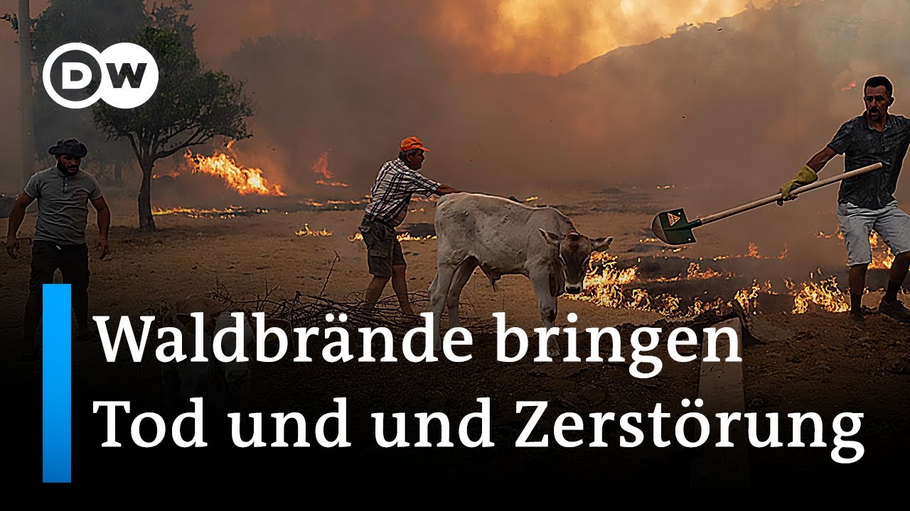 Tote und Verletzte bei Waldbränden in der Türkei | DW Nachrichten