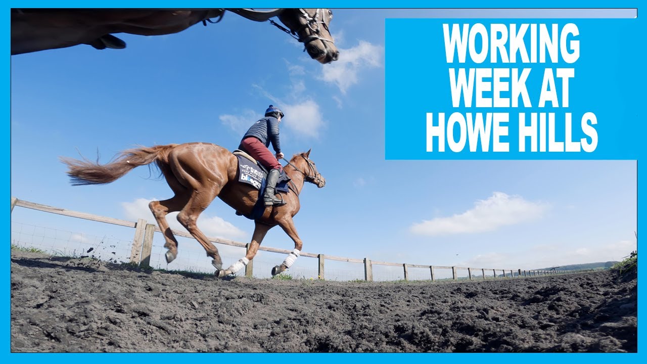 Working week at Howe Hills