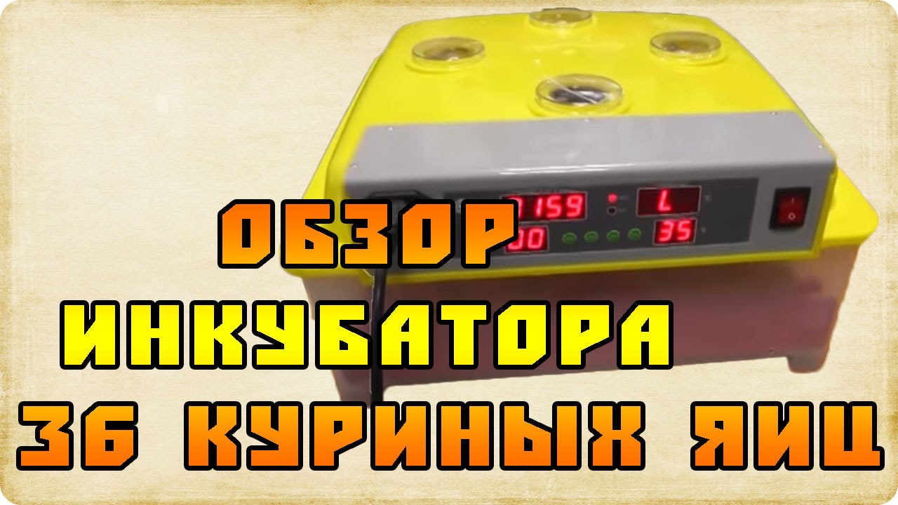 Обзор автоматического инкубатора на 36 куриных/144 перепелиных яиц