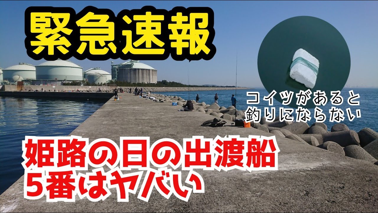 姫路の日の出渡船で5番に渡ったが 釣りにならなかった(金返せ)