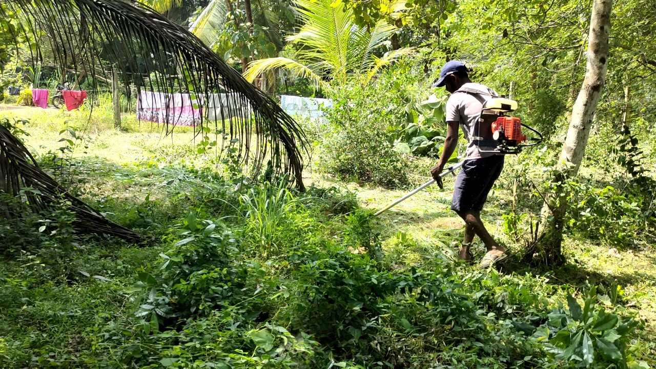 Cutting grass to clear a plot of land | Land clearing | garden grass cutting | Speed Grass cutting