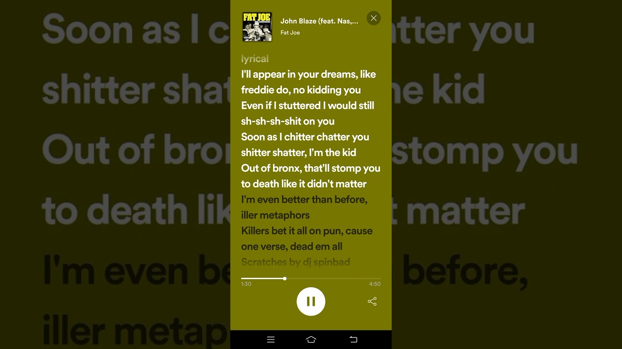 John Blaze (feat. Nas, Big Punisher, Jadakiss & Raekwon) Lyrics - Fat Joe
