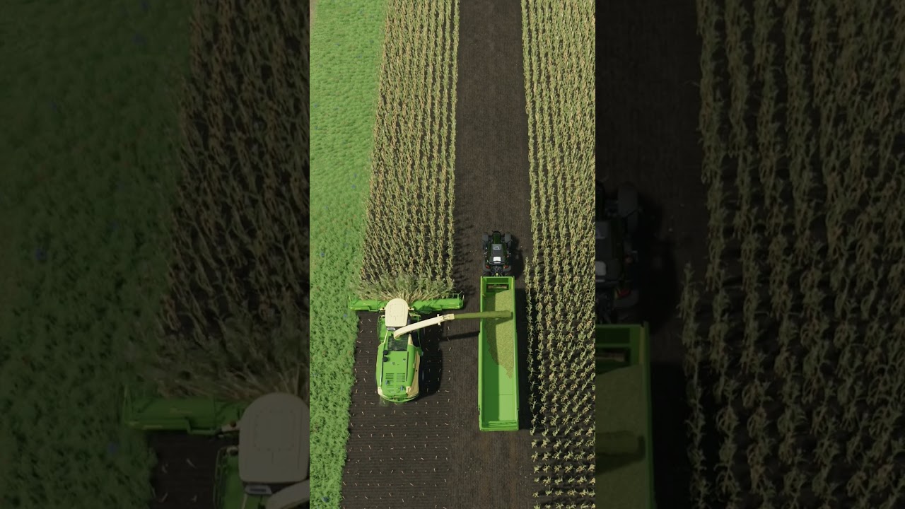 LS22 | Wann sollte man am besten Mais häckseln? 🌽 FS22 FarmingSimulator22 Landwirtschaftssimulator22