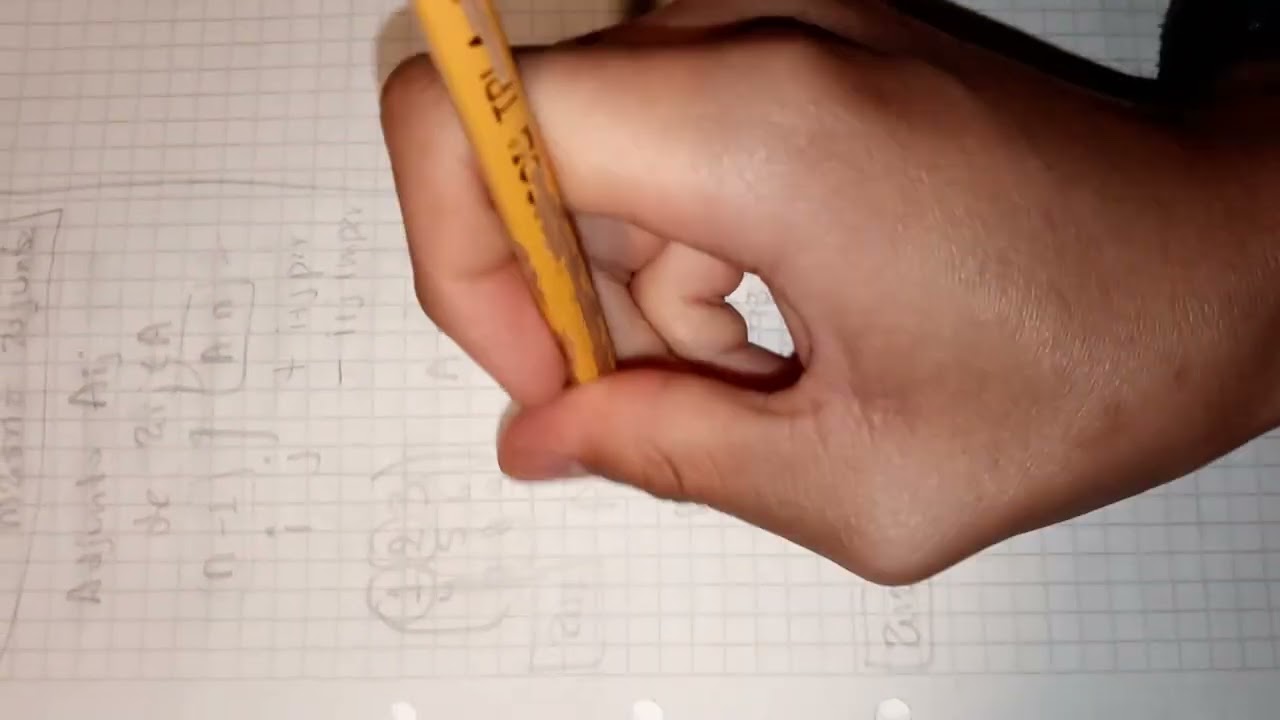 Elementos adjunto o matriz adjunta