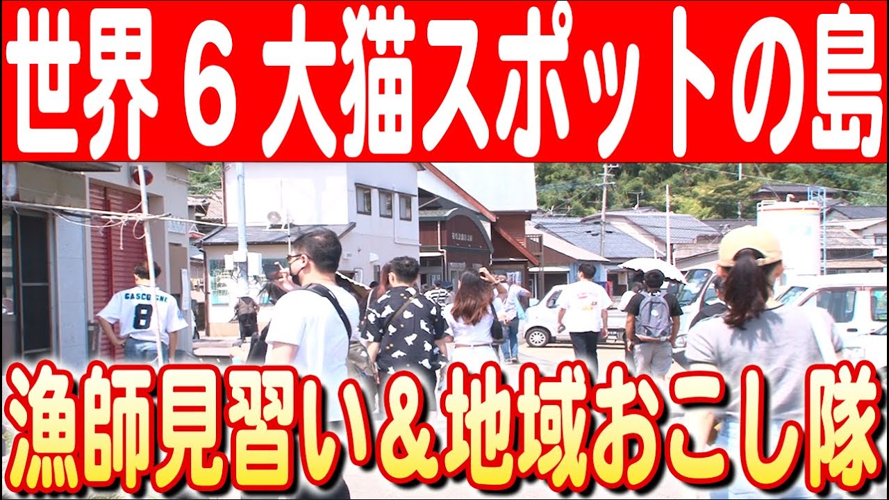 【猫だらけの島で生きる】移住者たち奮闘！相島での暮らし　日本財団 海と日本PROJECT in ふくおか 2024 #17