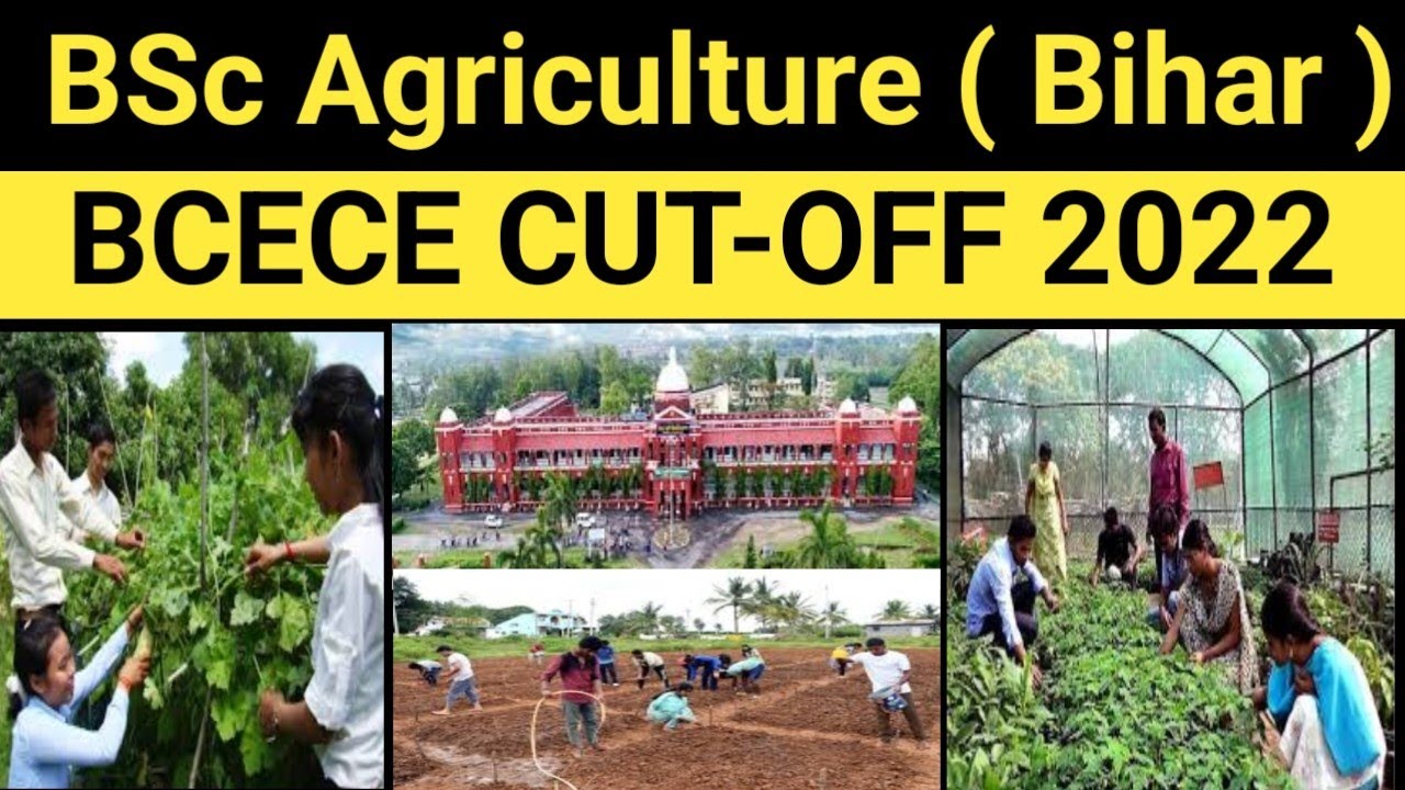 Bcece cutoff 2022 | bcece cutoff for bsc ag | bcece expected cutoff 2022