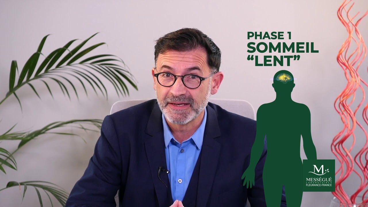 LES CYCLES DU SOMMEIL