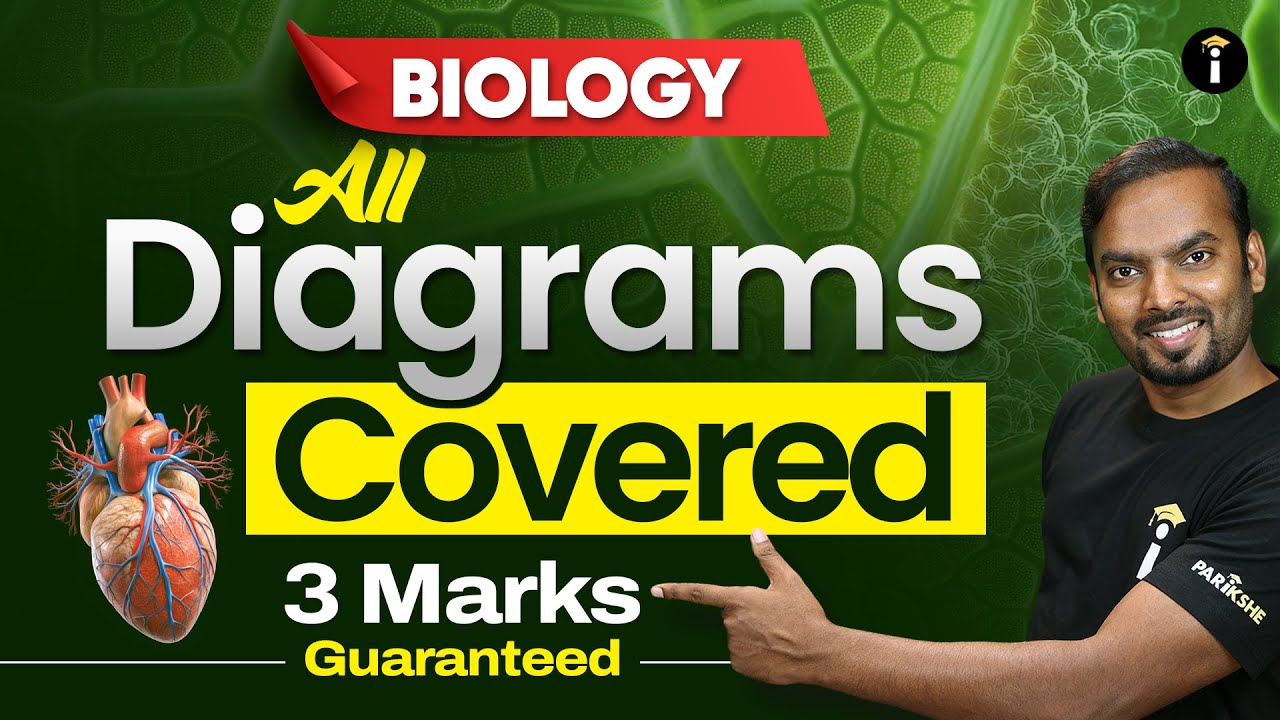 🔬 Biology | All Important Diagrams Covered &ndash; Assured 3 Marks! 💯