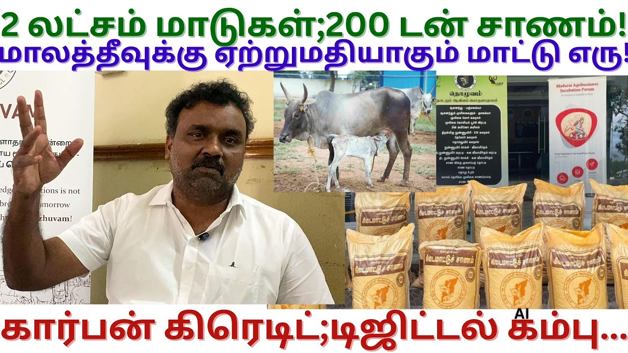 ஒரு டன் மாட்டுச் சாணம் ரூ.6 ஆயிரம் | Thozhuvam | Natural Farming | Pastoralists | Tamil Farming TV