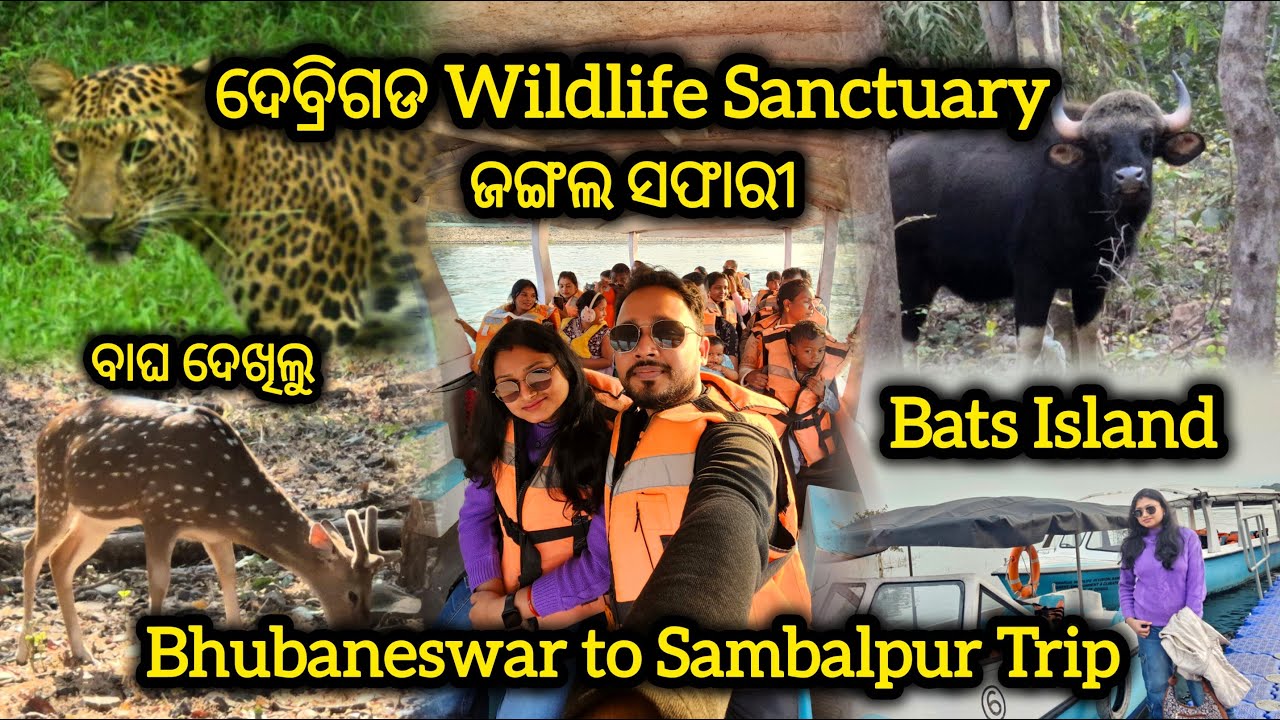 ସମ୍ବଲପୁର,Debrigarh Wildlife Sanctuary Jungle Safari, Bat Island,DykeRoad,Tourist Places in Sambalpur