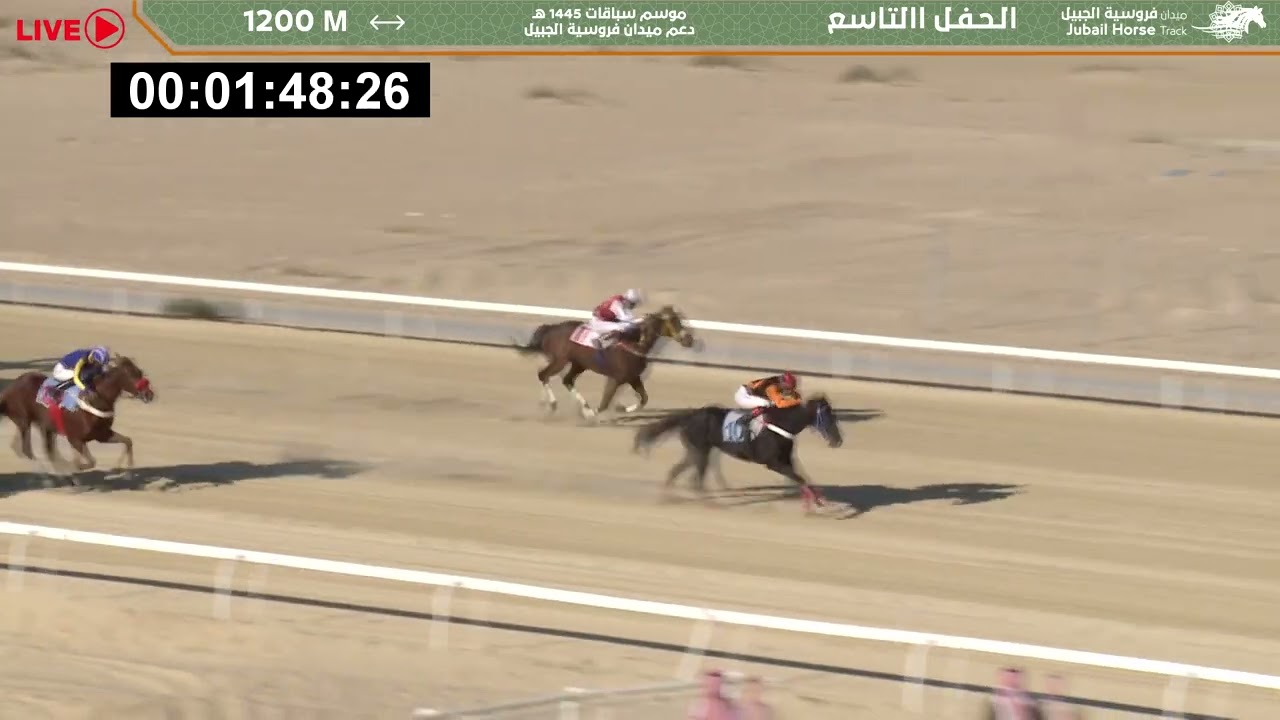 موسم سباقات 1445 هـ الحفل العاشر الجوائز الكبرى - الشوط الثاني