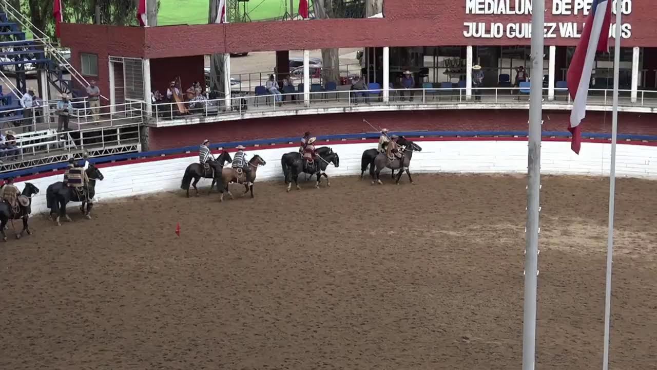 RODEO OFICIAL CLUB PEMUCO RIO PAL - PAL - (Asoc.Ñuble Cordillera) - SERIE POTROS
