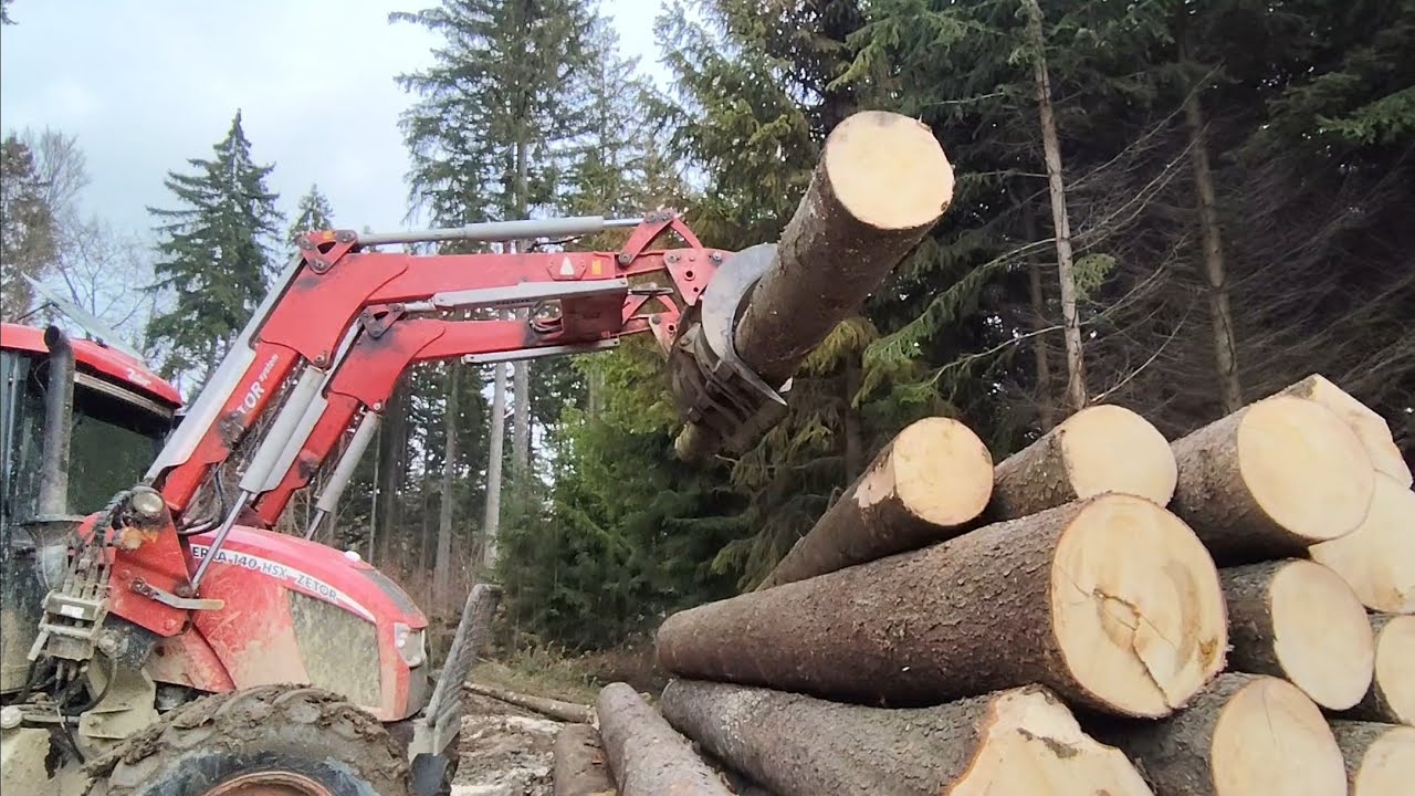 Práce v lese🌲🌲: Stihl 🎻 462, 🚜traktor v akci 595-2025