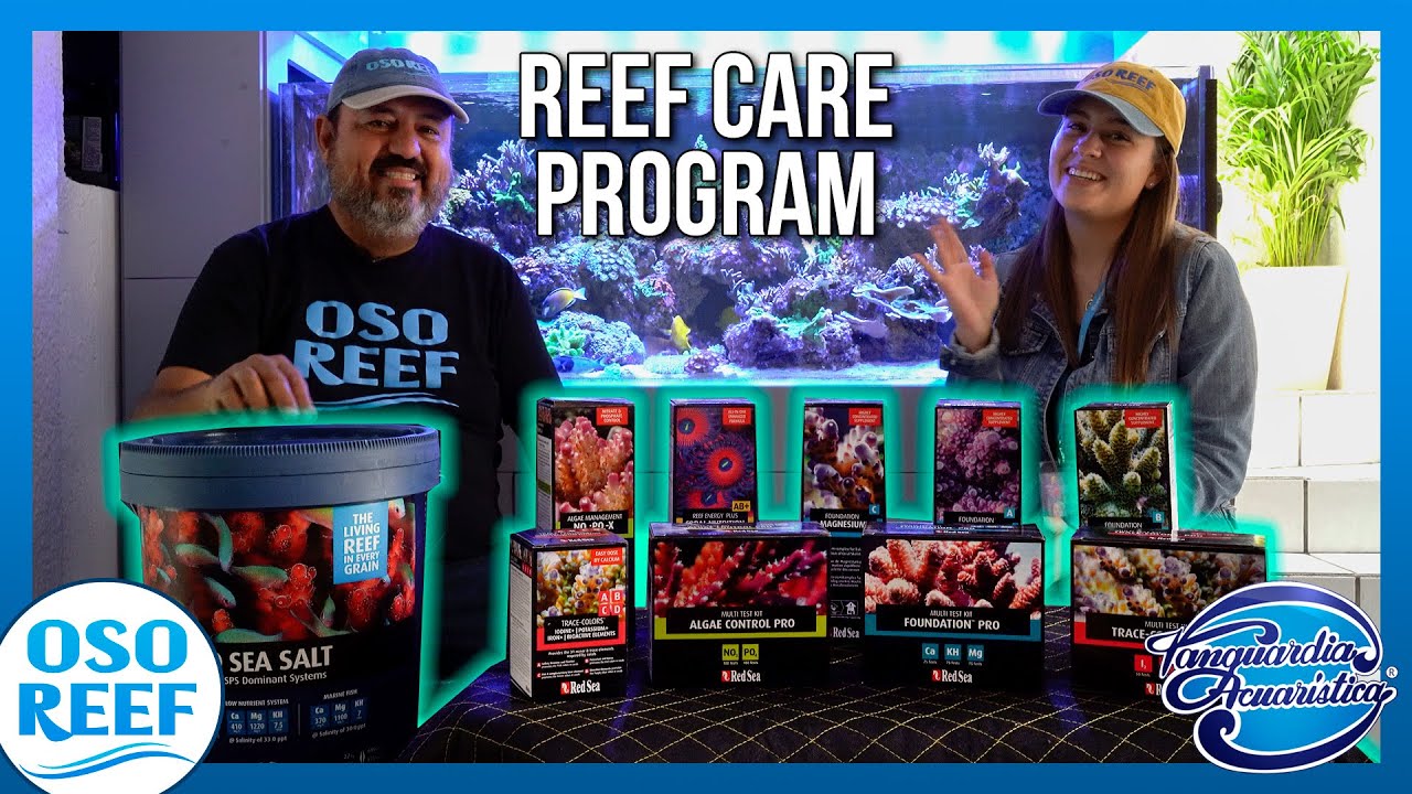 Inicio Reef Care Program RedSea !!! Arrancamos !!!