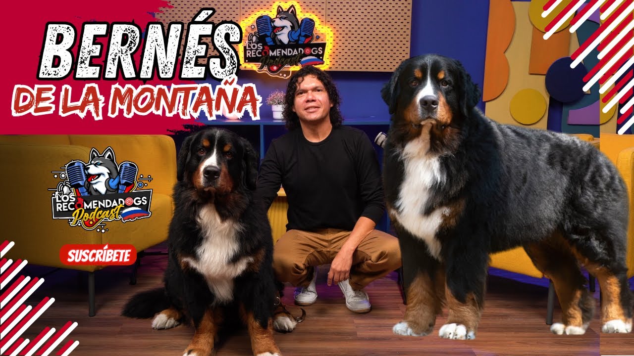 Bernés de la Montaña: Armonía perfecta entre belleza, trabajo y fuerza | Final de Temporada
