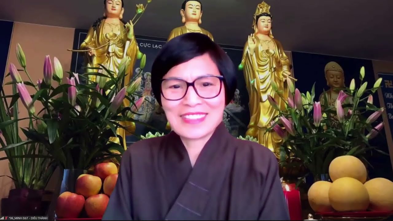 (RẤT HAY) PHẢI TU HÀNH CHO CÓ CÔNG PHU MỚI ĐƯỢC ĐI HỘ NIỆM | ĐẠI ĐỨC THÍCH TỊNH HẢI 