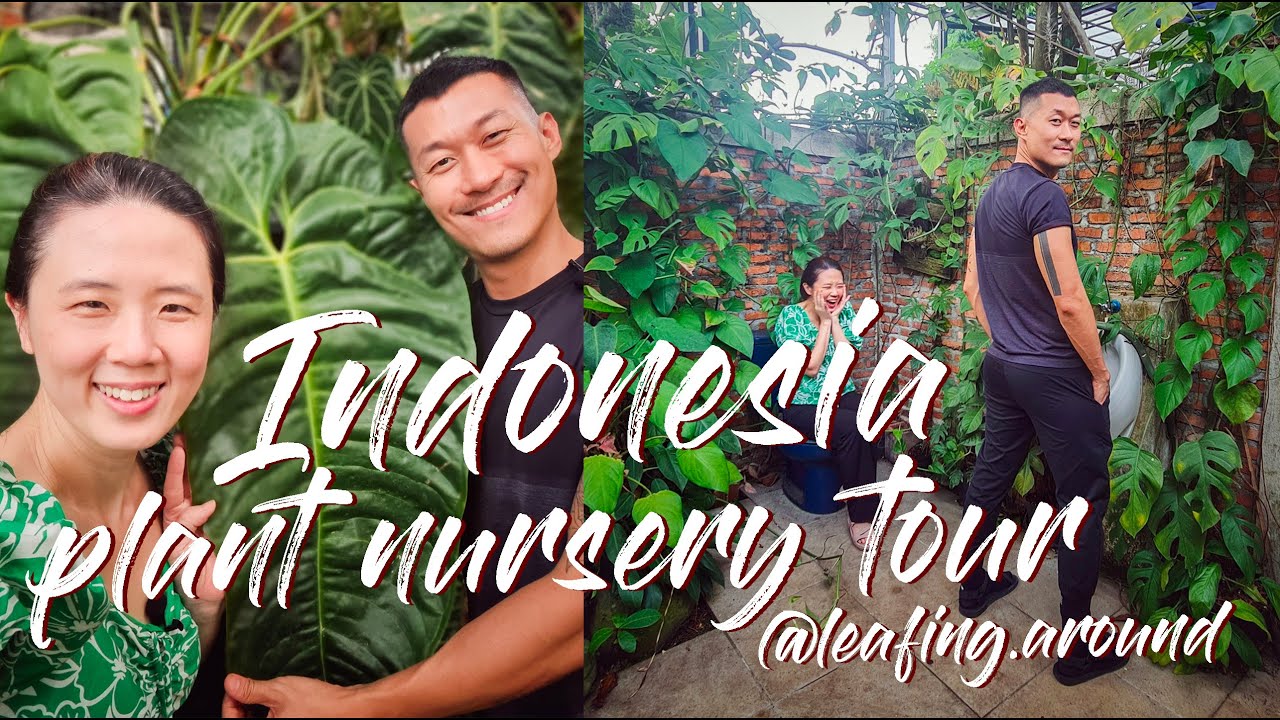 FUN Indonesia Plant Store Tour @eskagarden With Irene @leafing.around