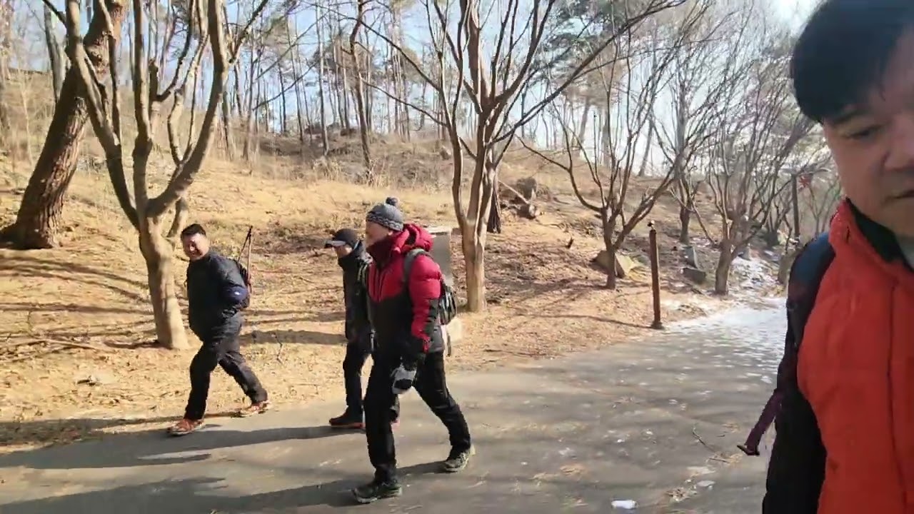 🚀  단풍나무 숲길 코스  등산/산책 모임 활성화 전략 (Action Plan)  [MOT V-log]