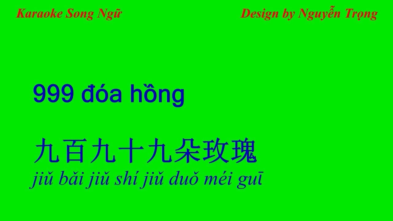 Karaoke Song Ngữ - 999 đóa hồng - 九百九十九朵玫瑰 (C Min)