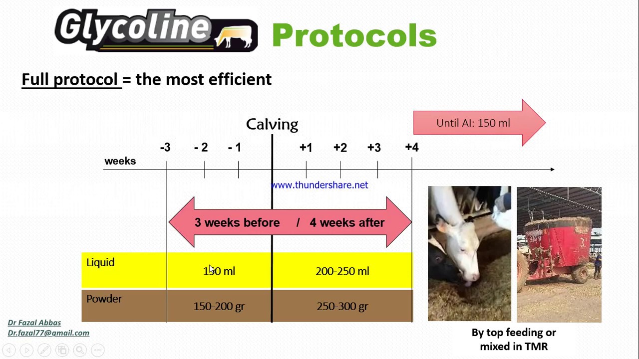 Ketosis | Causes | Diagnosis | Economic implications | Prevention | Dr. Fazal Abbas | Part II